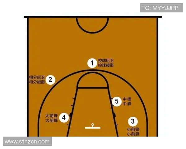 深入探讨上海篮球队的战术配合与球员默契度的全面对比分析